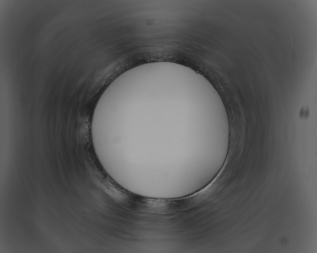 X0000090960144200708241201