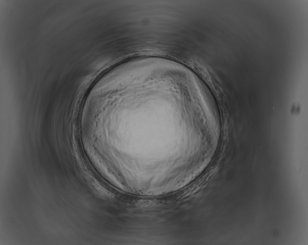 X0000090960145200708241200