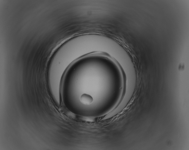 X0000090960146200708241200