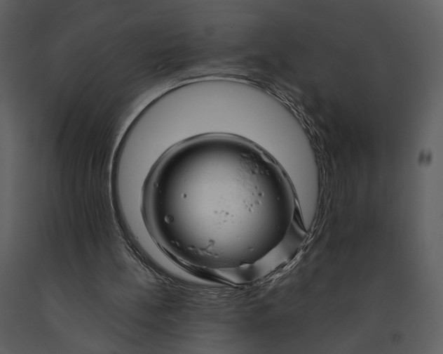 X0000090960148200708241200