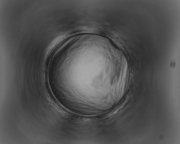 X0000090960149200708241200