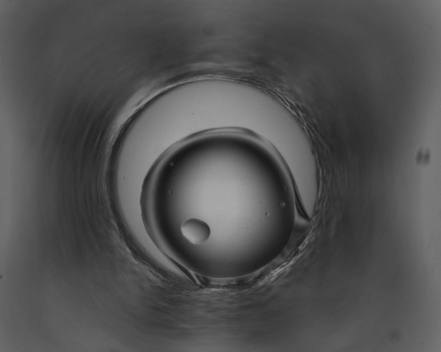 X0000090960150200708241200