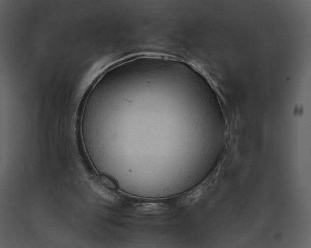 X0000090960151200708241200