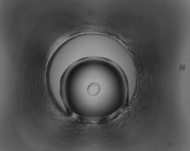 X0000090960152200708241200