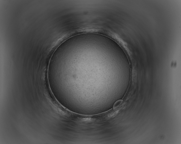 X0000090960153200708241200