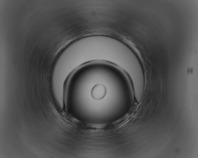 X0000090960154200708241200