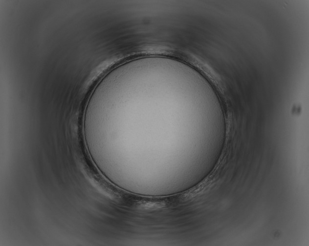 X0000090960155200708241200