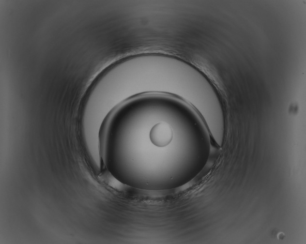 X0000090960156200708241200