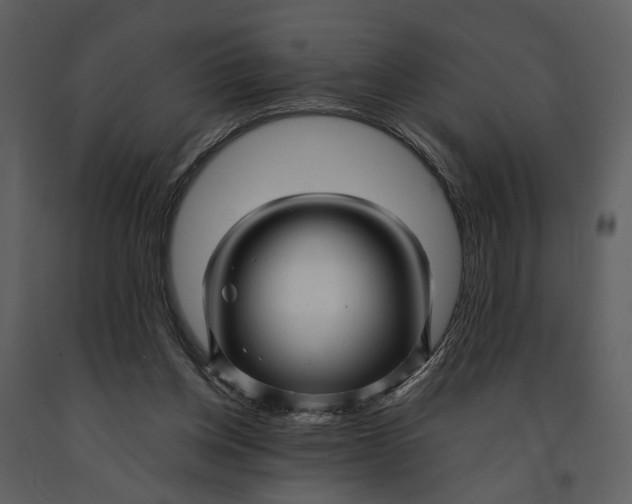 X0000090960158200708241200