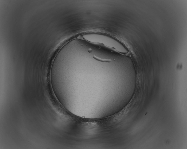 X0000090960159200708241200