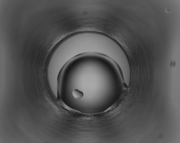 X0000090960160200708241200