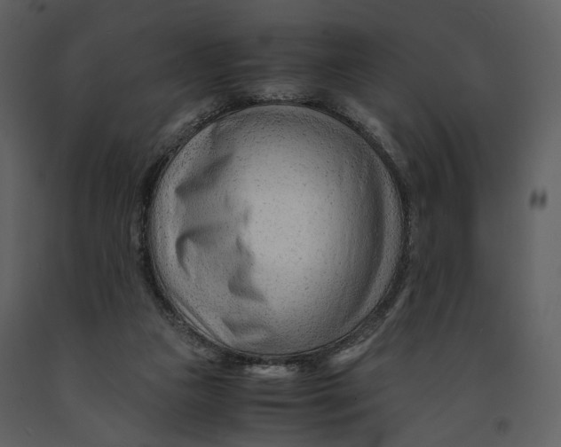 X0000090960161200708241201