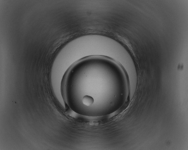 X0000090960162200708241201