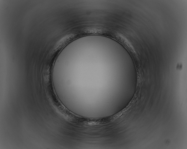 X0000090960163200708241201