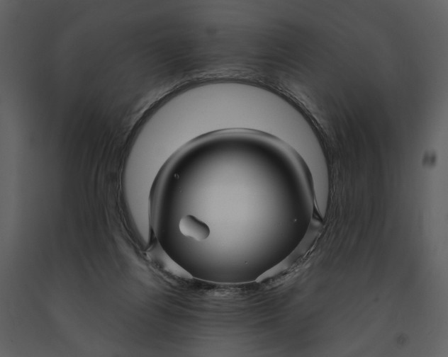 X0000090960164200708241201