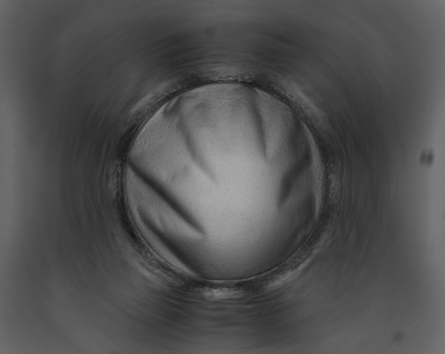 X0000090960165200708241201