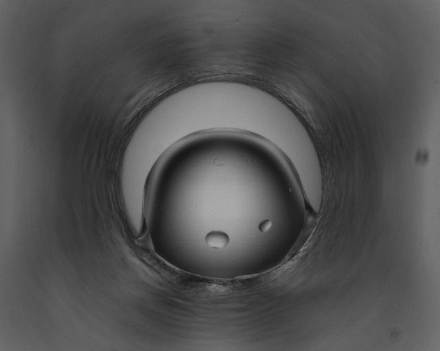 X0000090960166200708241201