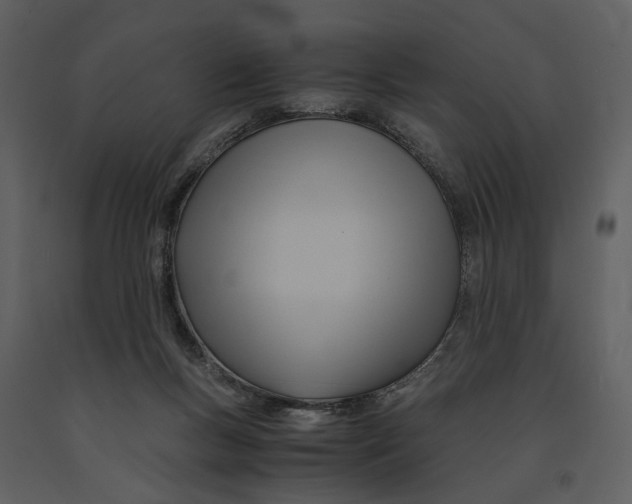 X0000090960167200708241201