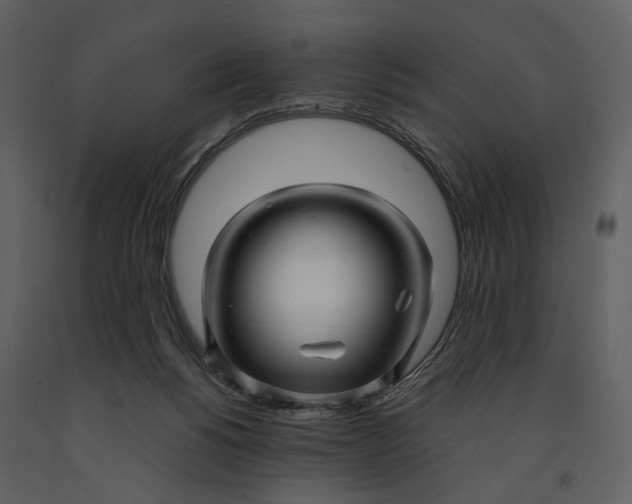 X0000090960168200708241201