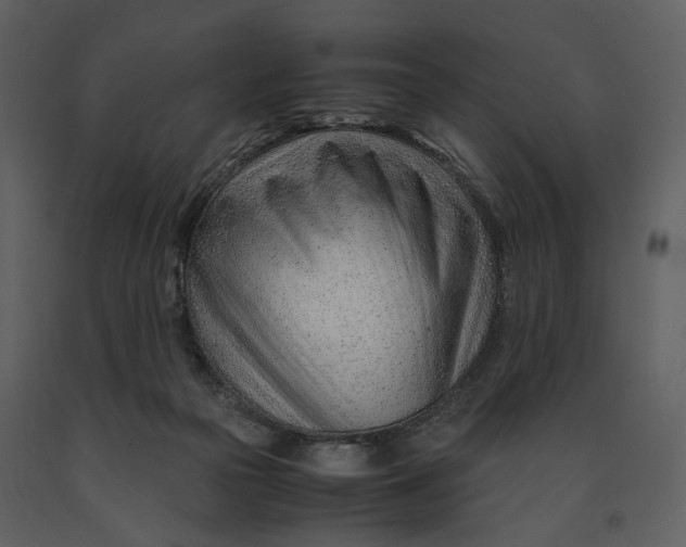 X0000090960169200708241201