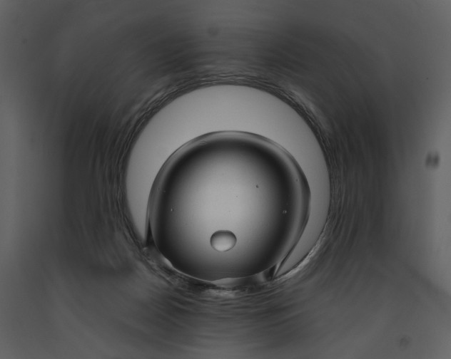 X0000090960170200708241201