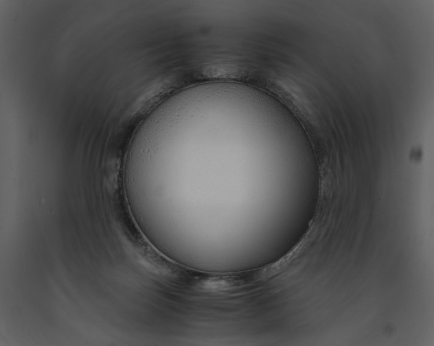 X0000090960171200708241201