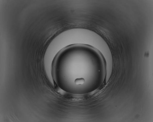 X0000090960172200708241201