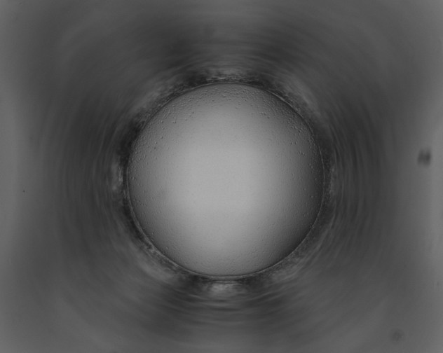 X0000090960173200708241201