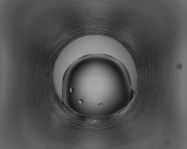 X0000090960174200708241201