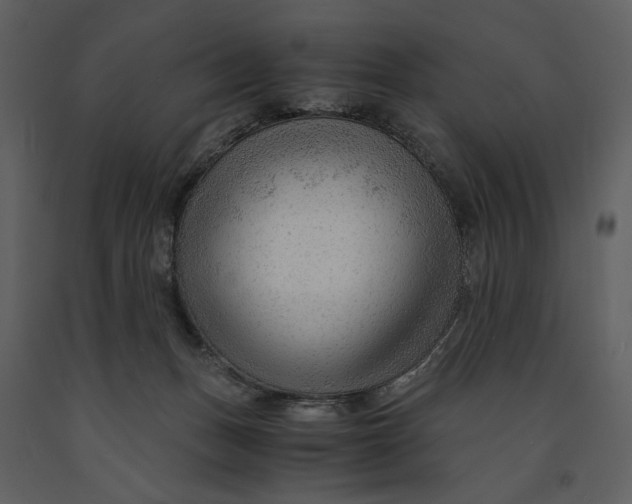 X0000090960175200708241201