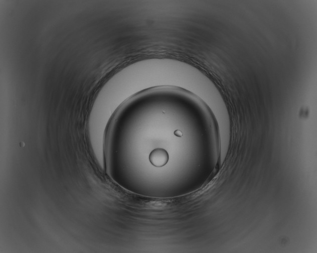 X0000090960176200708241201