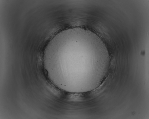 X0000090960179200708241201