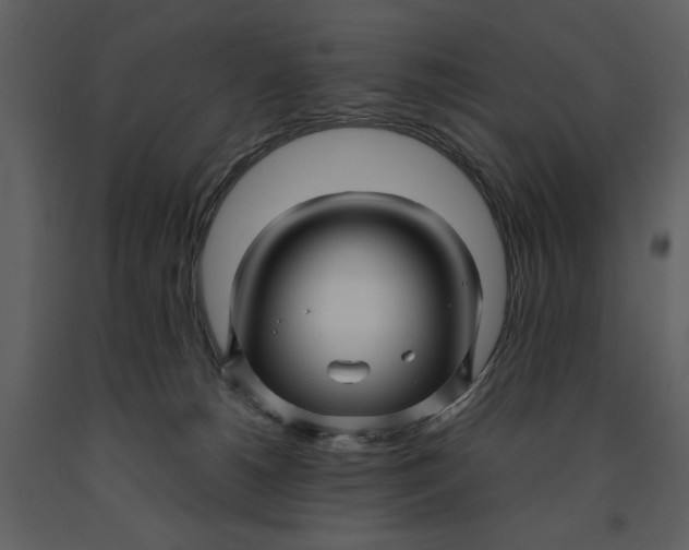 X0000090960180200708241201