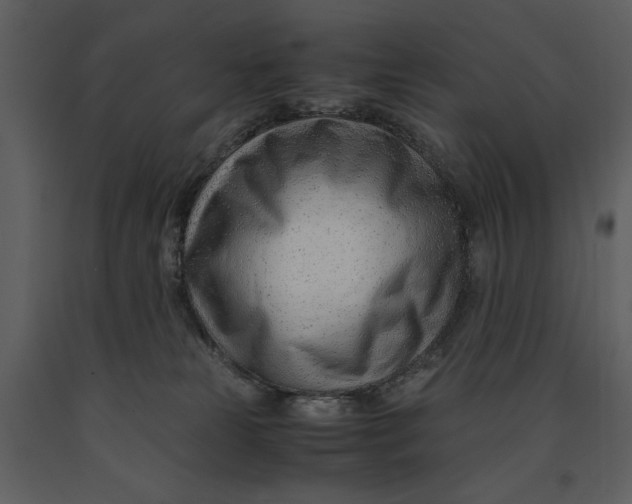 X0000090960181200708241201