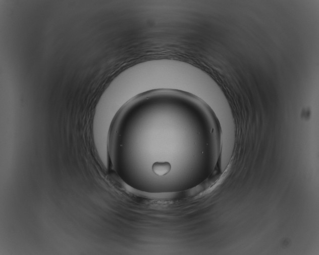 X0000090960182200708241201