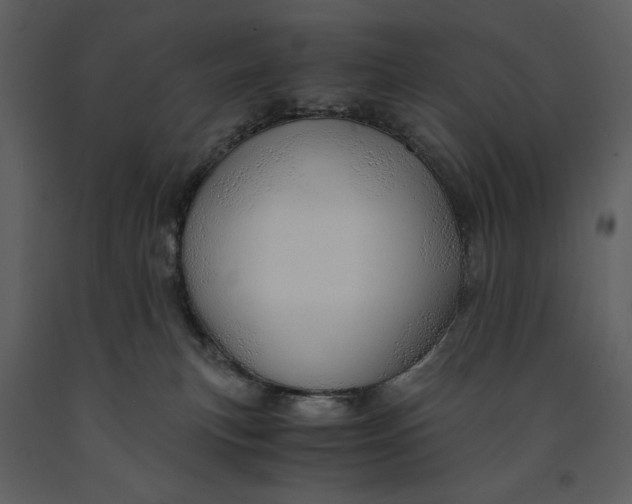 X0000090960183200708241201