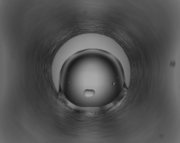 X0000090960184200708241201