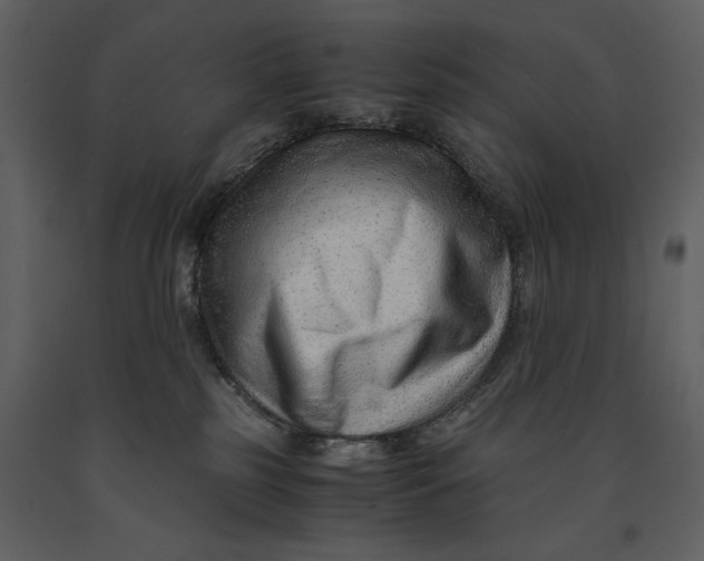 X0000090960185200708241201