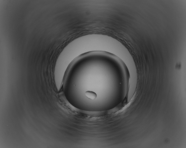 X0000090960186200708241201