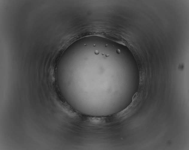 X0000090960187200708241201