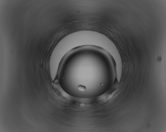 X0000090960188200708241201