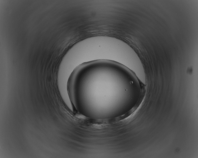 X0000090960190200708241201