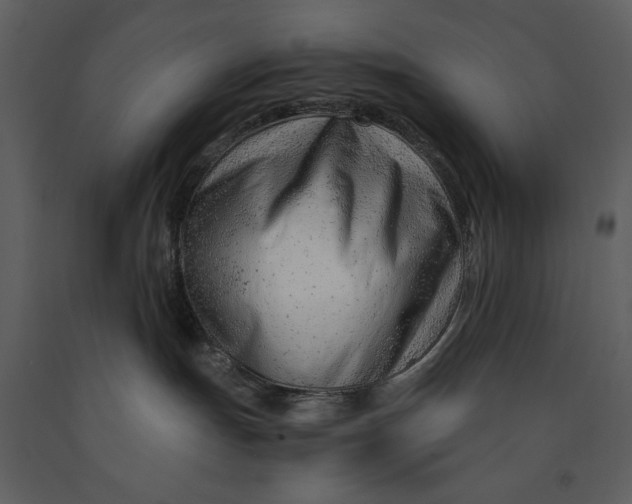 X0000090960191200708241201