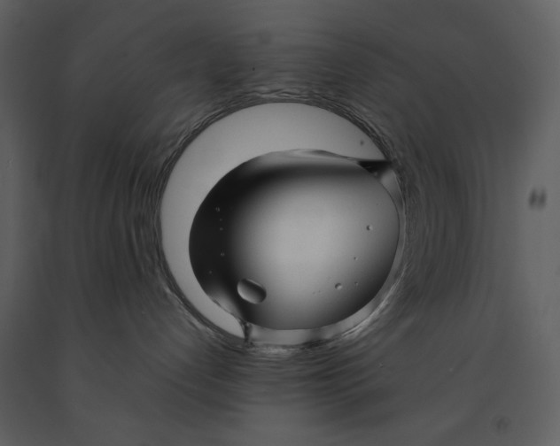 X0000090960192200708241201