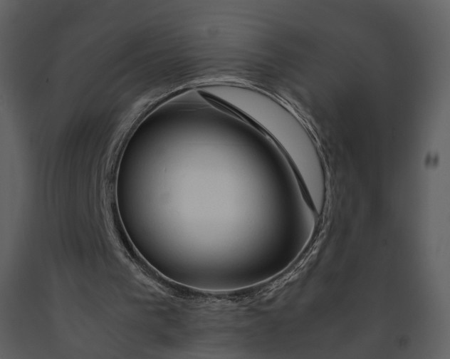 X0000090960193200708241200