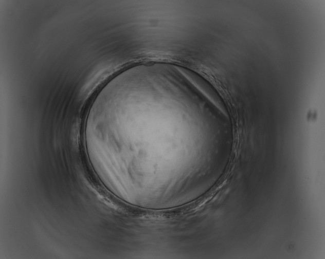 X0000090960194200708241200