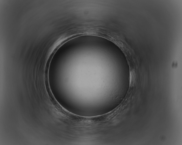 X0000090960195200708241200