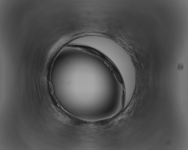 X0000090960197200708241200