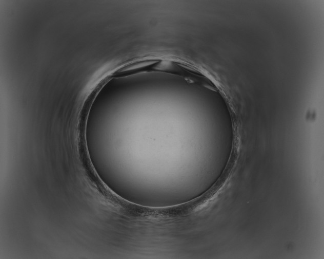 X0000090960199200708241200