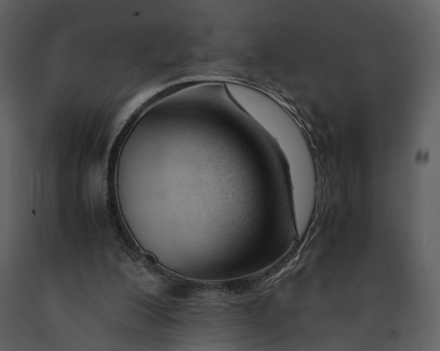 X0000090960200200708241200